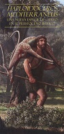 18441
