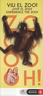 19057
