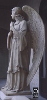 19244
