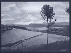 19961