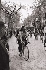 19964